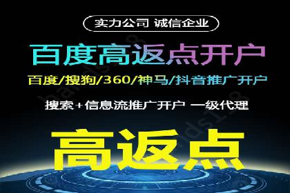 百度竞价赚钱技巧：实战案例分析